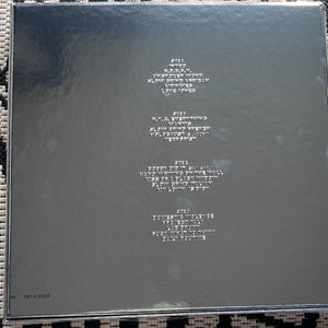 RZA: RZA As Bobby Digital In Stereo 12" box set