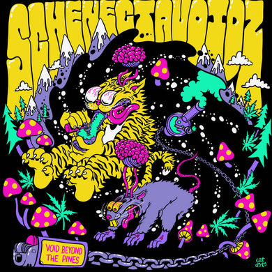 Schenectavoidz: Void Beyond the Pines 12