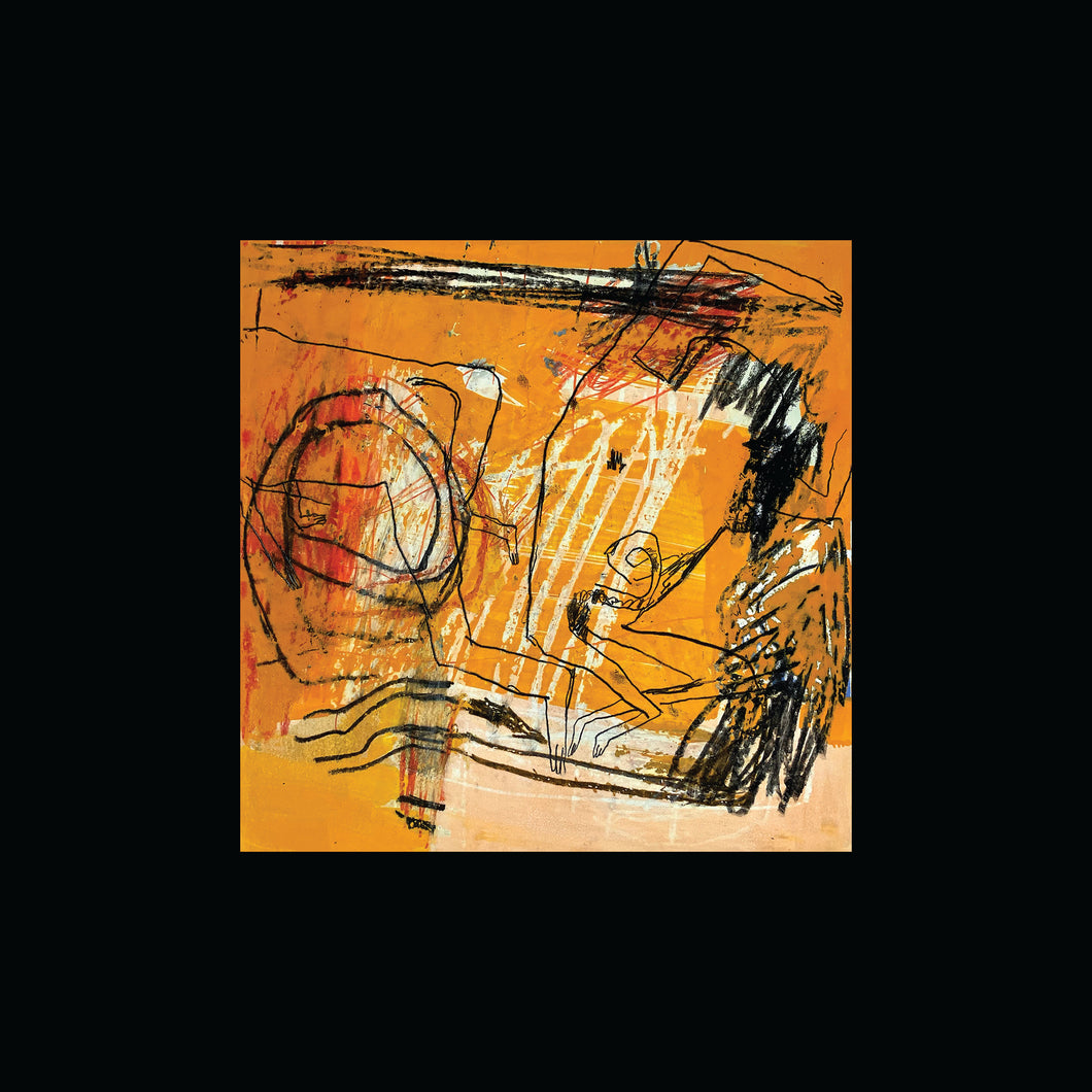 Scratch Acid: Discography Box Set 12