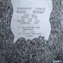 Screaming Females: Desire Pathway 12"