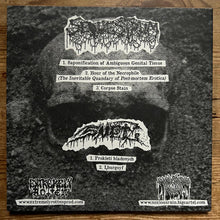 Sequestrum / Sn​ě​ť: Split 7"