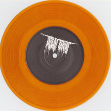 Sewn Shut / Embalming Theatre: Split 7"