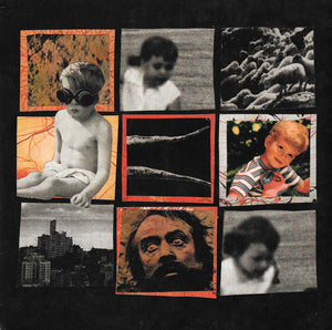 SFN / In Disgust: Split 7"