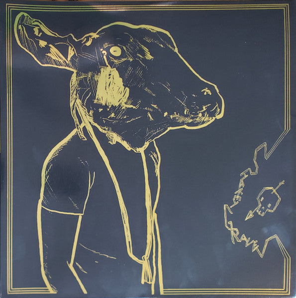 Shakey Graves: Roll The Bones (10th Anniversary Edition) 12