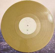 Shawn Mendes: Wonder 12"