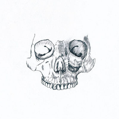 Skin Area / Jarl: La Petite Morte 12