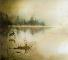 Sólstafir: Berdreyminn CD box set