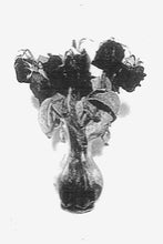 Smut: S/T cassette