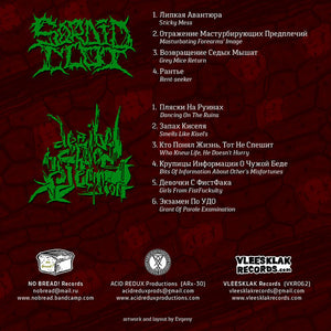 Sordid Clot / Decibel Chaos Injection: Split 7"