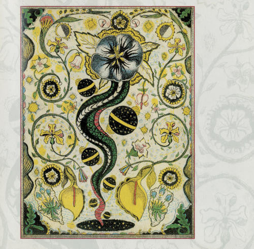 Steve Earle: I Feel Alright 12