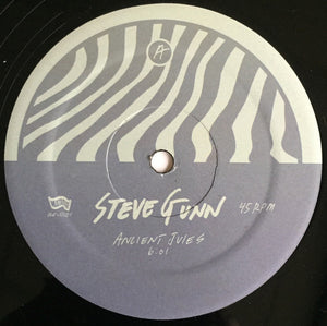 Steve Gunn: Ancient Jules 12"