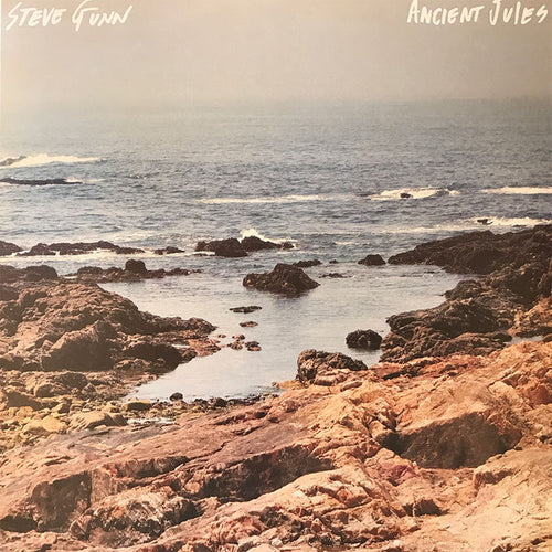 Steve Gunn: Ancient Jules 12