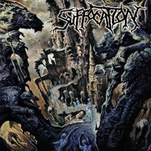 Suffocation: Souls To Deny CD