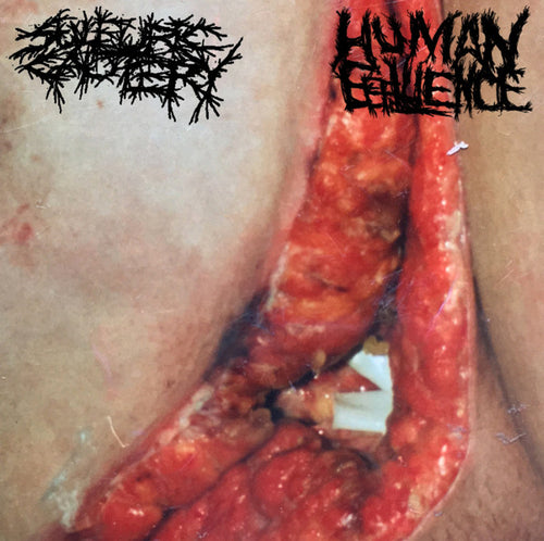 Sulfuric Cautery / Human Effluence: Split 12