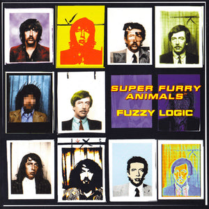 Super Furry Animals: Fuzzy Logic 12