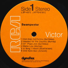 Swampwater: S/T 12"
