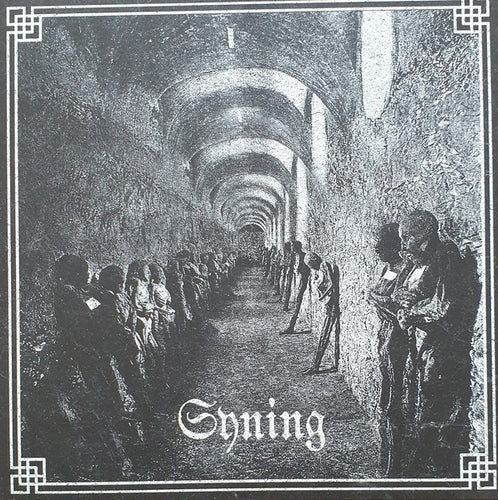 Syning: S/T 12