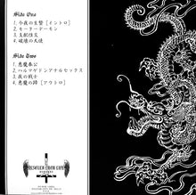 Syphilitic Vaginas: 梅毒ﾏﾝｺ 12"