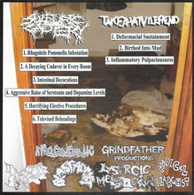 Take That Vile Fiend / Sulfuric Cautery: Split 7"