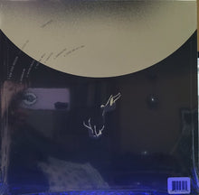 Tedeschi Trucks Band: I Am The Moon: III. The Fall 12"