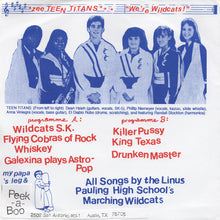 Teen Titans: We're Wildcats! 7"