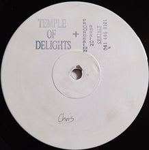 Temple Of Delights: Untitled 12"