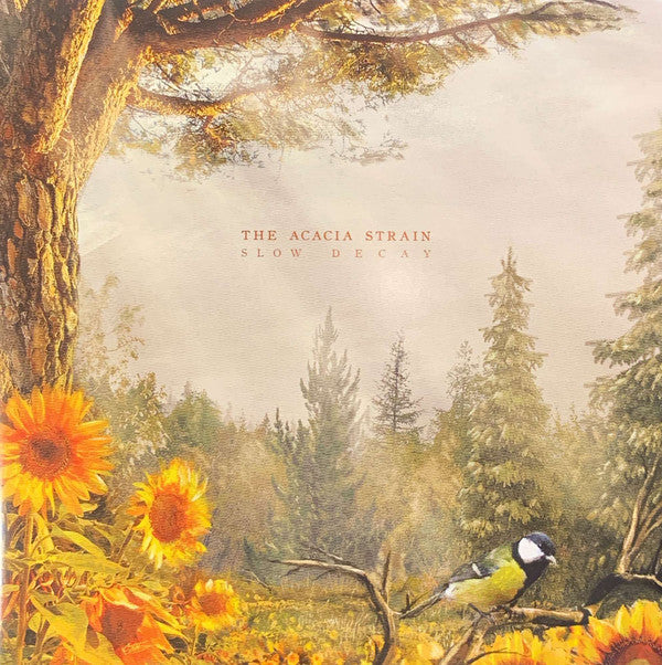 The Acacia Strain: Slow Decay 12