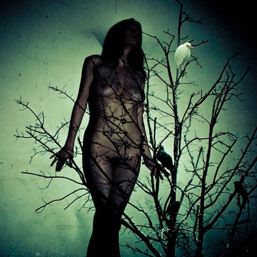 The Atlas Moth: An Ache For The Distance CD