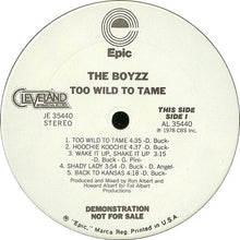 The Boyzz: Too Wild To Tame 12"