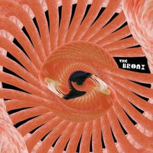 The Bronx: Bronx III 12"