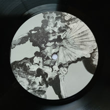 The Caretaker: Everywhere At The End Of Time - Stage 5 2x12"