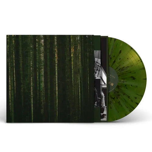 The Paper Kites: Evergreen 12