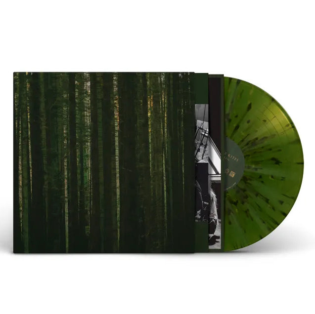 The Paper Kites: Evergreen 12