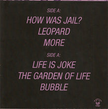 The Roobydocks: Reliant Robin 7"