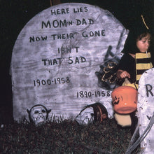 The Spirit Of The Beehive: S/T 12"