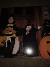 The Spirit Of The Beehive: S/T 12"