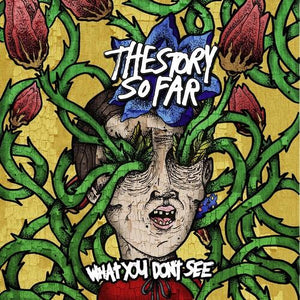 The Story So Far: What You Don't See 12"