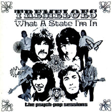 The Tremeloes: What A State I'm In CD