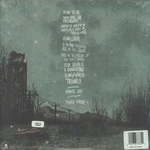 The World Is A Beautiful Place & I Am No Longer Afraid To Die: Illusory Walls 2x12"