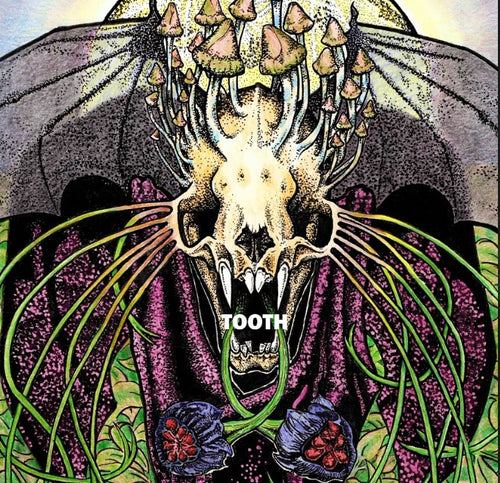 Tooth: S/T 12