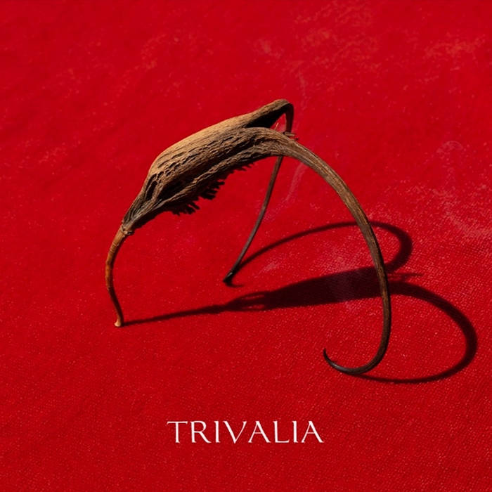 Trivalia: Crna Voda 12