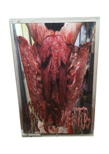 Ulcerated Offal / Meatus: split cassette