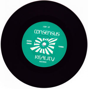 Unholy Grave: Morbid Reality 7"