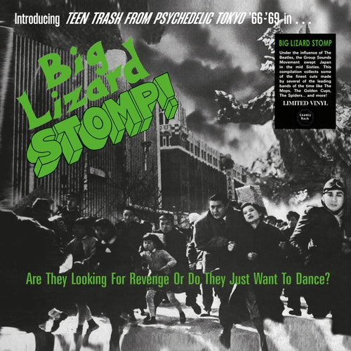 Various: Big Lizard Stomp (Teen Trash From Psychedelic Tokyo '66-'69) 12