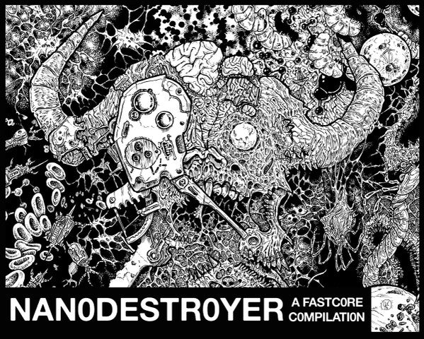 Various: Nanodestroyer - A Fastcore Compilation postcard flexi