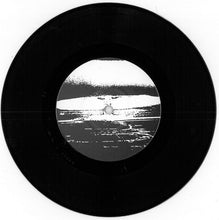 Various: Pas Fier D'Être Français - Not Proud To Be French 7"