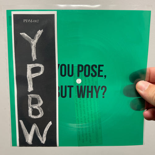 Various: You Pose, But Why? #1 7