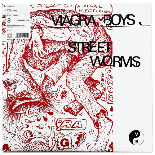 Viagra Boys: Street Worms 12