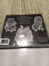 Vrenth: Succumb To Chaos CD