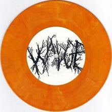 Wadge / Soil of Ignorance: Split 7"